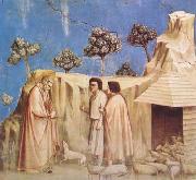 GIOTTO di Bondone Joachim Takes Refuge in the Wilderness (mk08) USA oil painting reproduction
